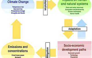 Mitigation and adaption model